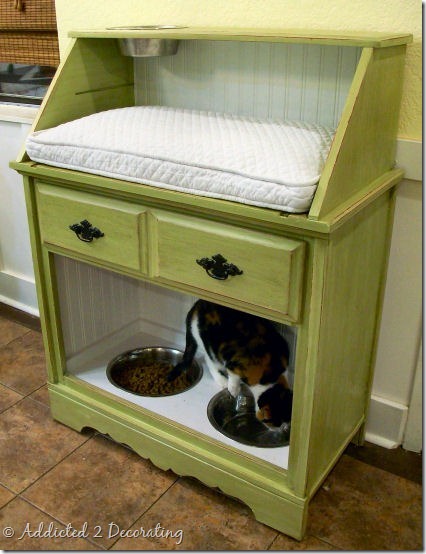 pet station after 1